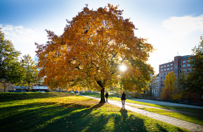 Elgparken Ingar Sørensen